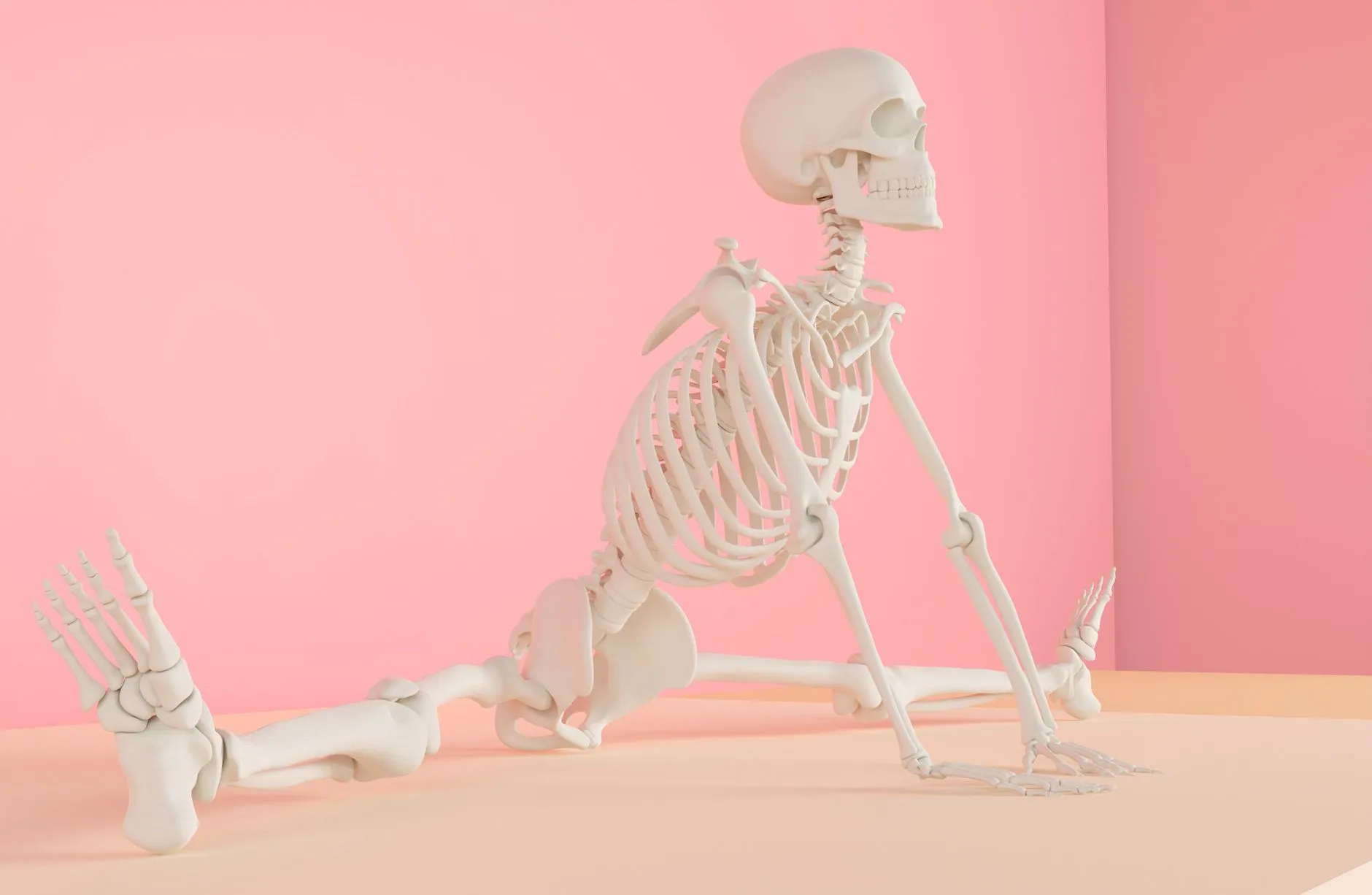Yoga Anatomie Workshop Ein Workshop, der sich auf Yoga-Anatomie für die Lehrerausbildung konzentriert.