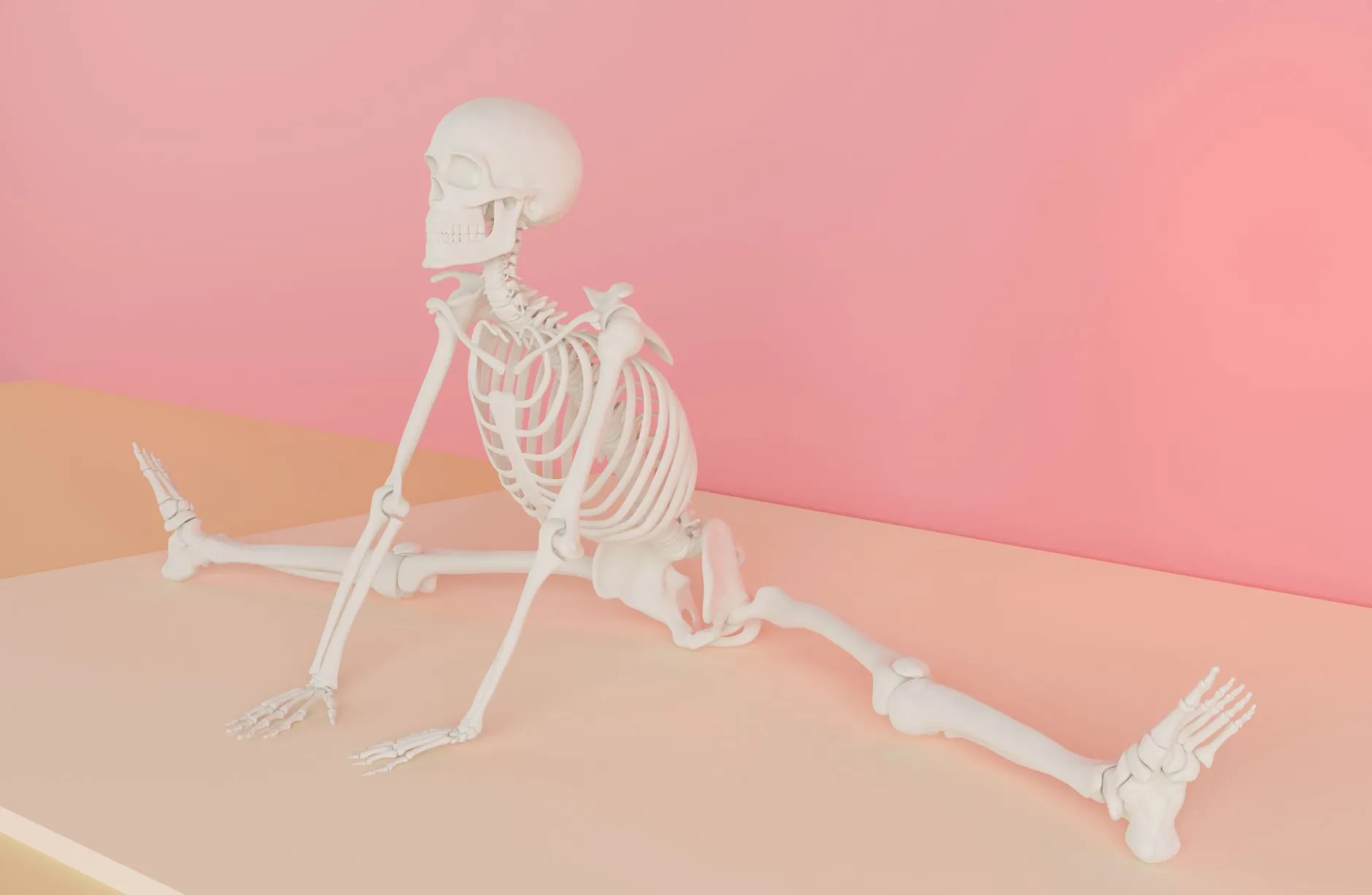 Yoga anatomy books and resources