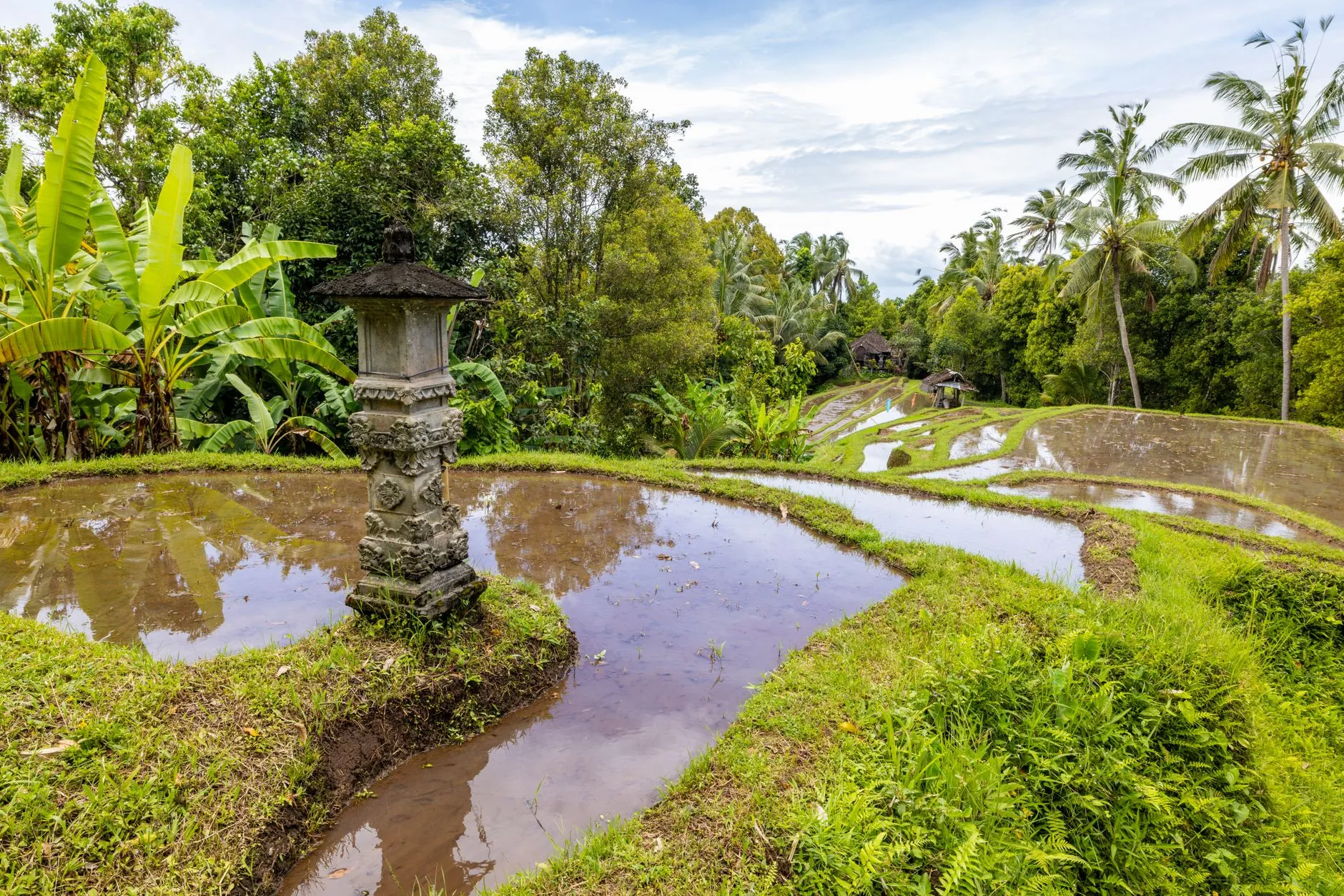Bali Rice Terraces Breathtaking view of Bali's rice terraces
