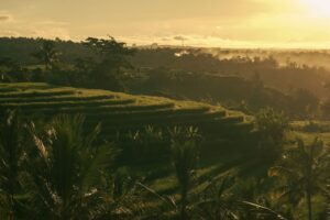 Scenic view of a yoga retreat in Bali at sunrise