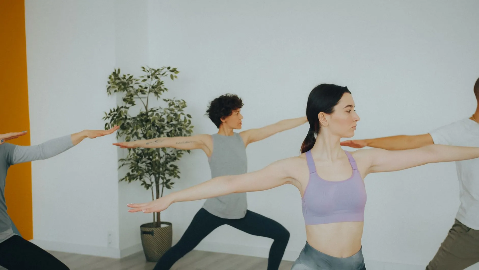 Bali yoga school curriculum overview