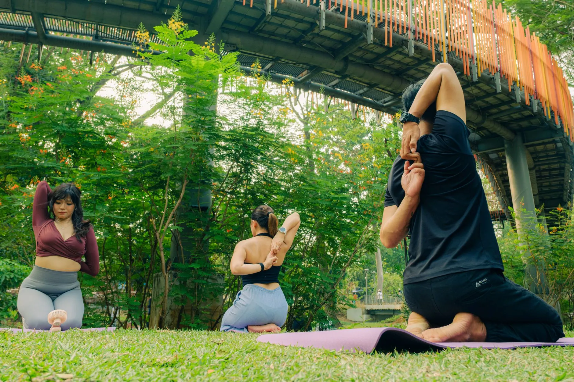 Outdoor Yoga Class Group of students engaged in yoga at an outdoor class