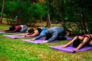 Group of people practicing yoga in a tranquil setting.