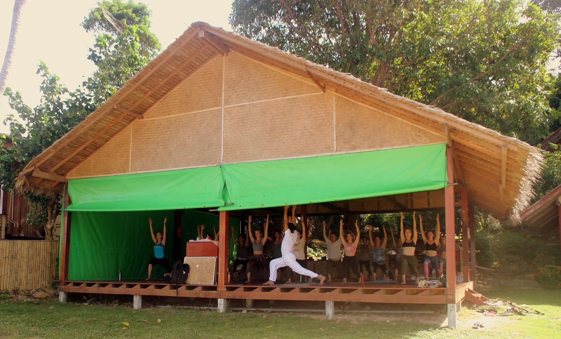 Tropical Yoga Class Tropical environment yoga class for back pain