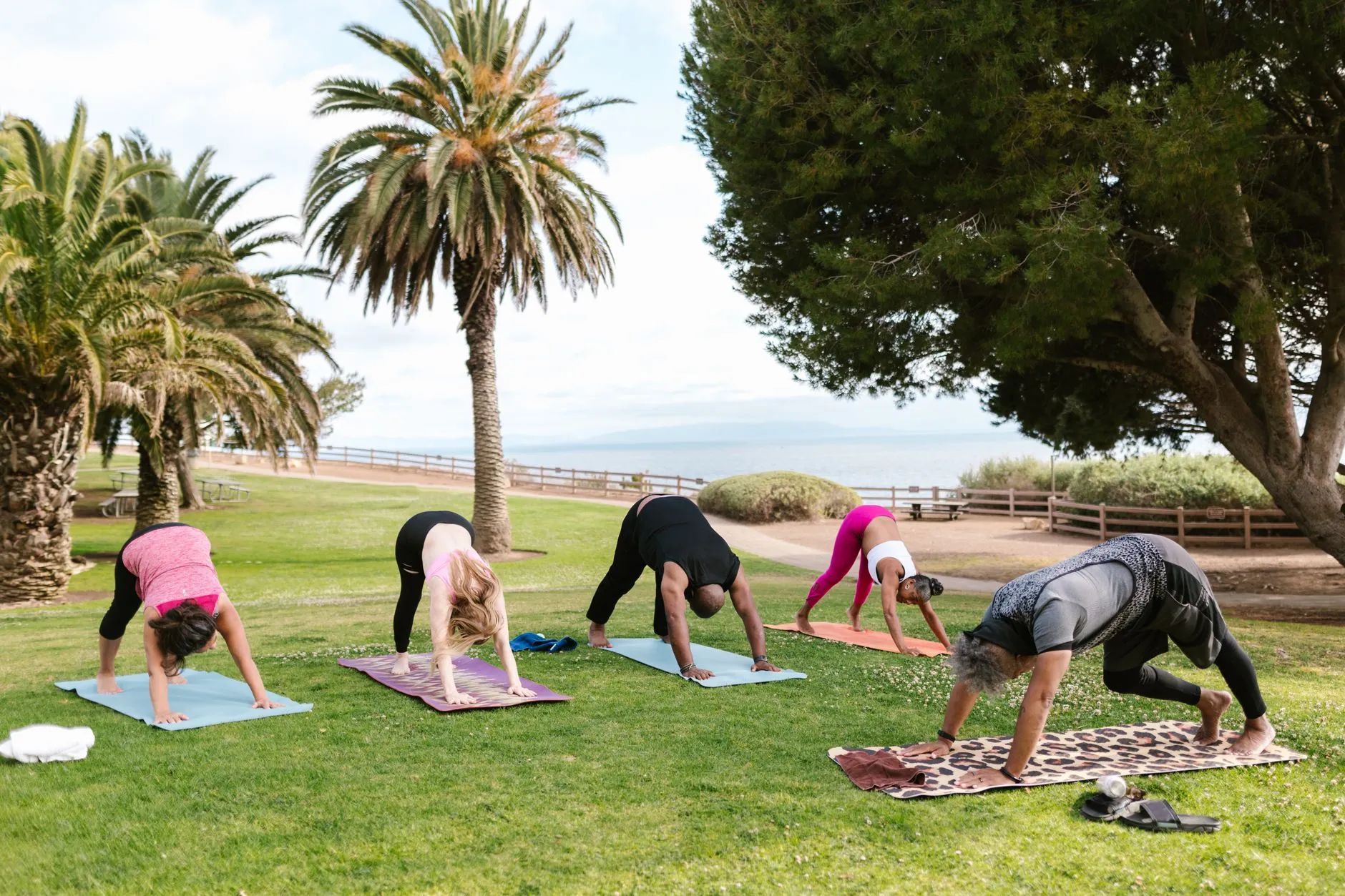 Group of individuals practicing yoga outdoors